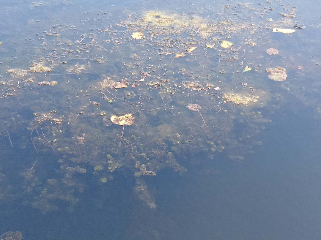 Chesterfield Canal-切斯特菲尔德必去景点