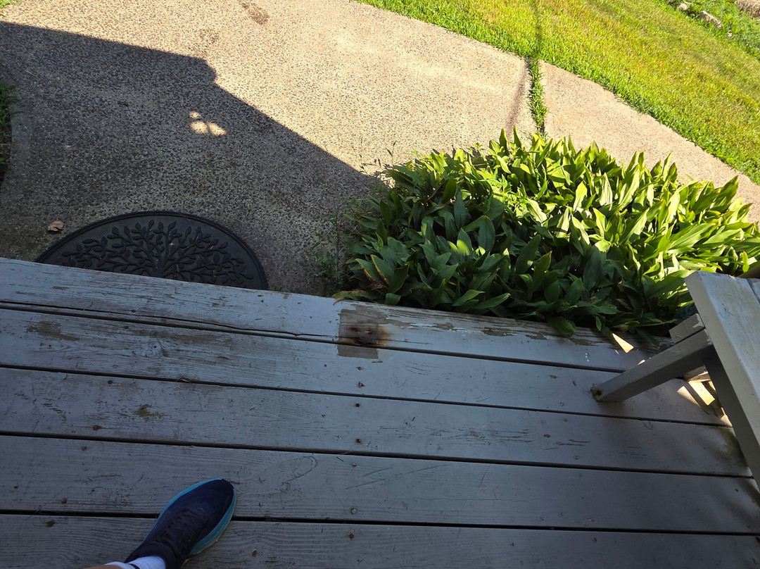 Copper Beech Inn主图