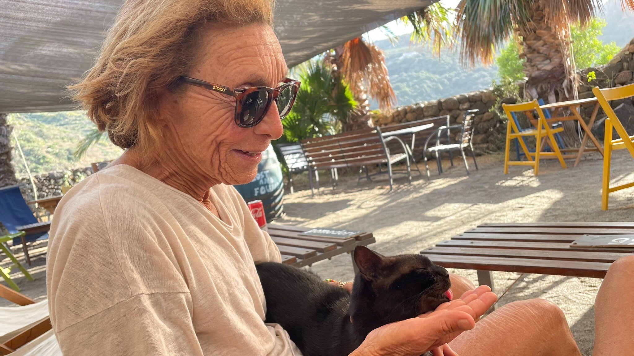 Dammusi La Kuddia-官方