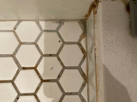 霍姆伍德伯明翰山谷酒店-希尔顿格芮精选酒店主图