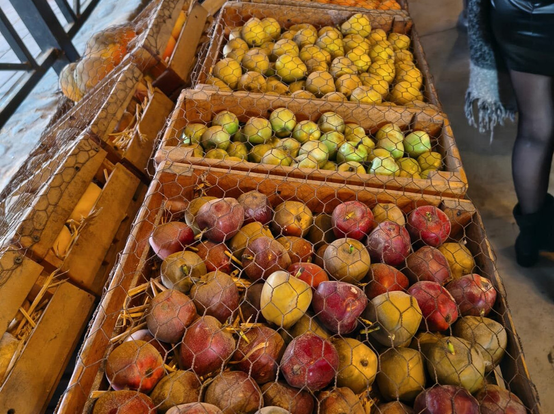 Alyan Family Wines-Pirque必去景点