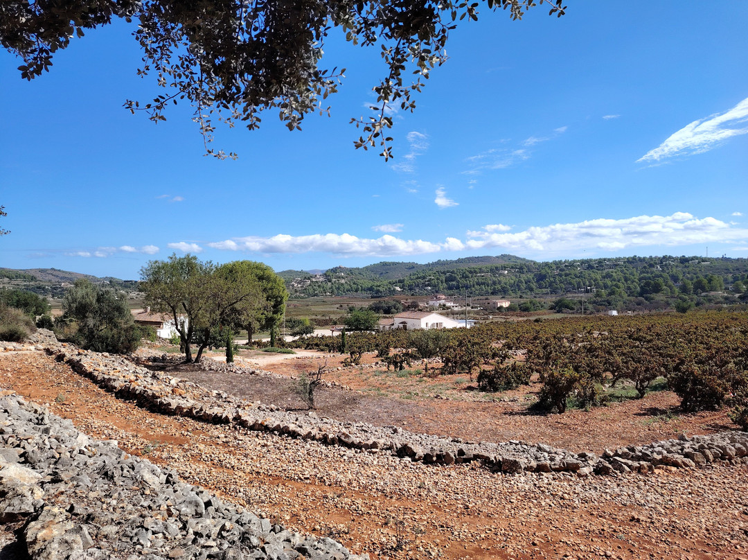 Casa Agrícola Pepe Mendoza-Lliber必去景点