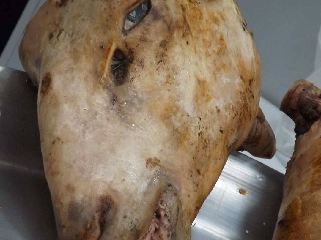 Rasht Bazaar-Rasht必去景点