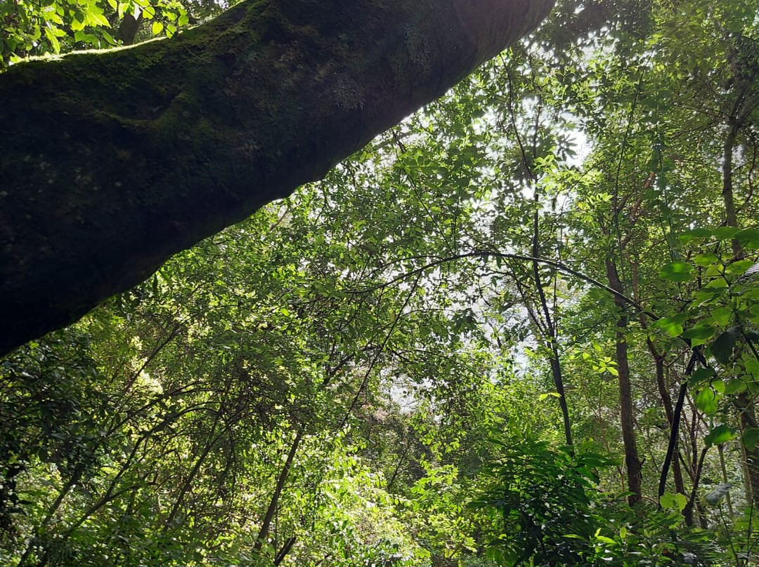 Oropopo Experience-圣何塞必去景点