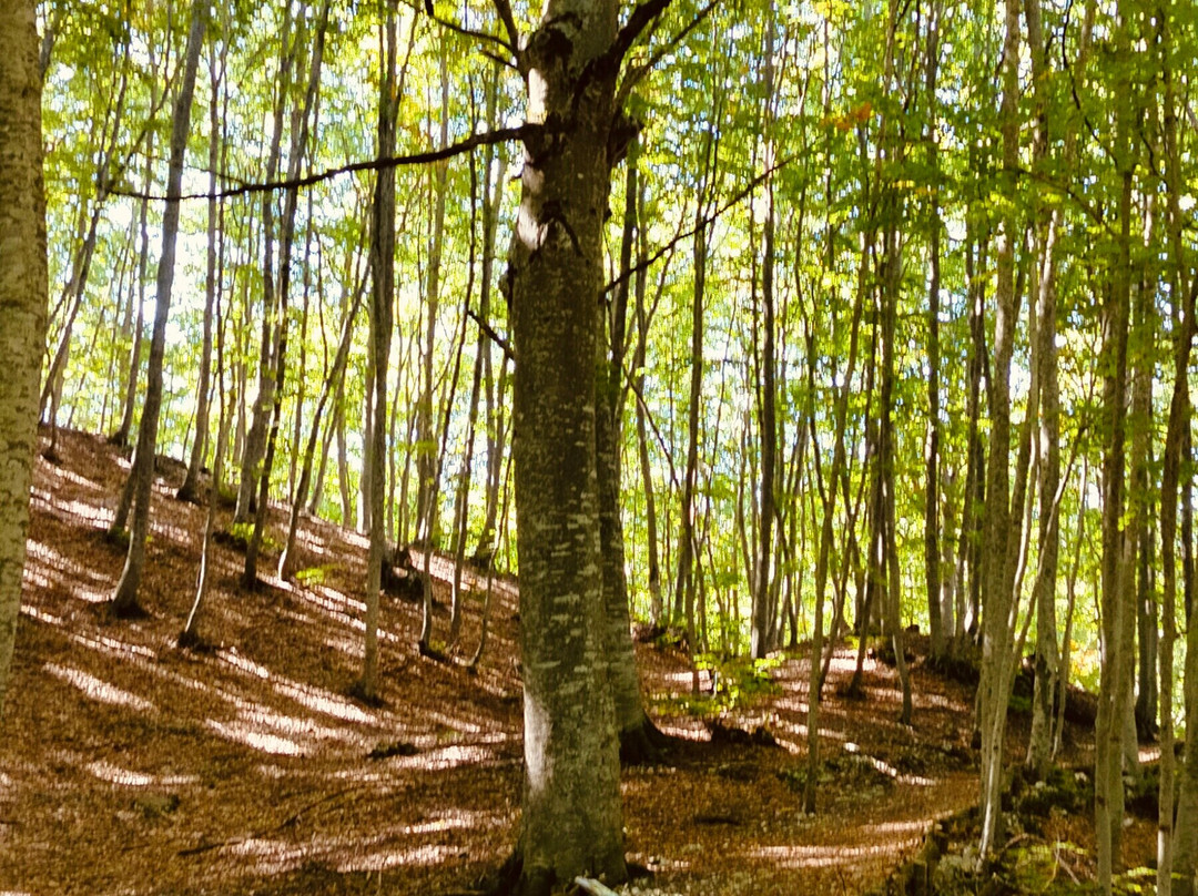 Riserva Naturale Lama Bianca-Roccacaramanico必去景点