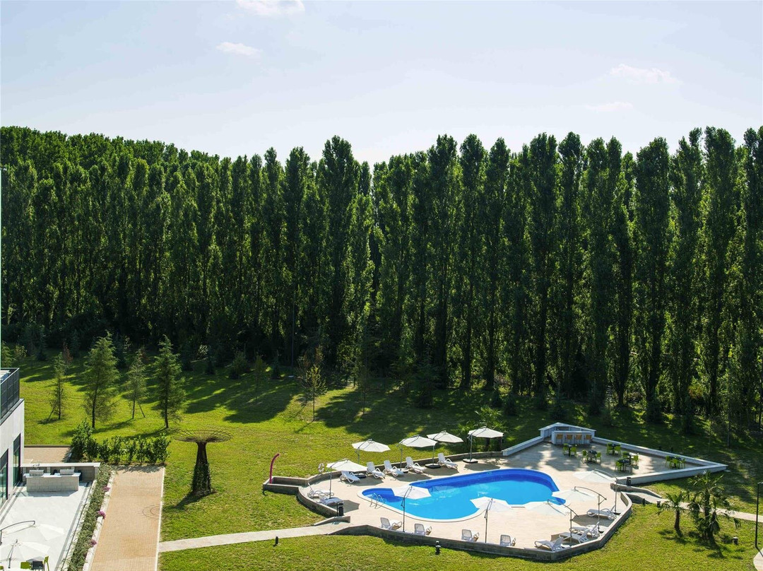 Zelo Buon Persico酒店住宿-Ibis Styles Milano Est Settala