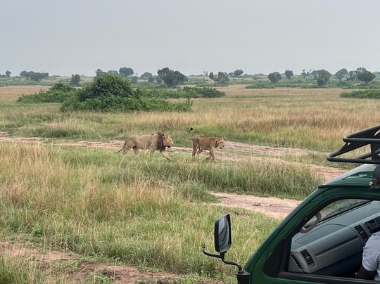 travel with twaha-坎帕拉必去景点