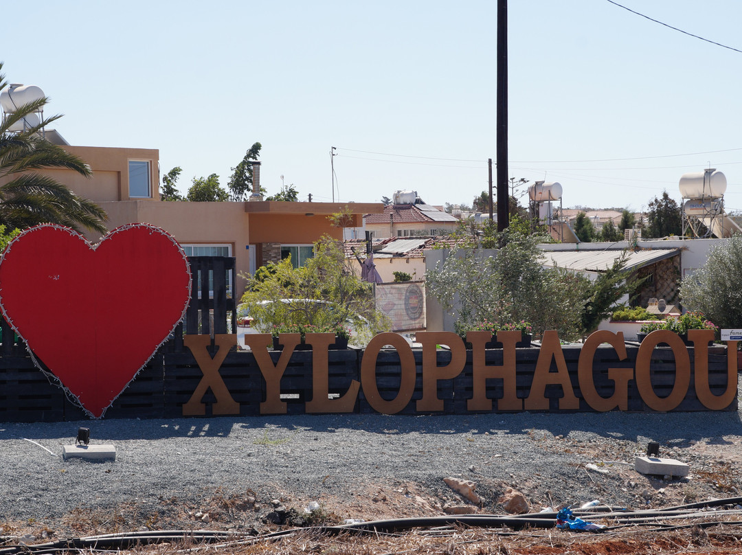 The Big Potato-Xylophagou必去景点