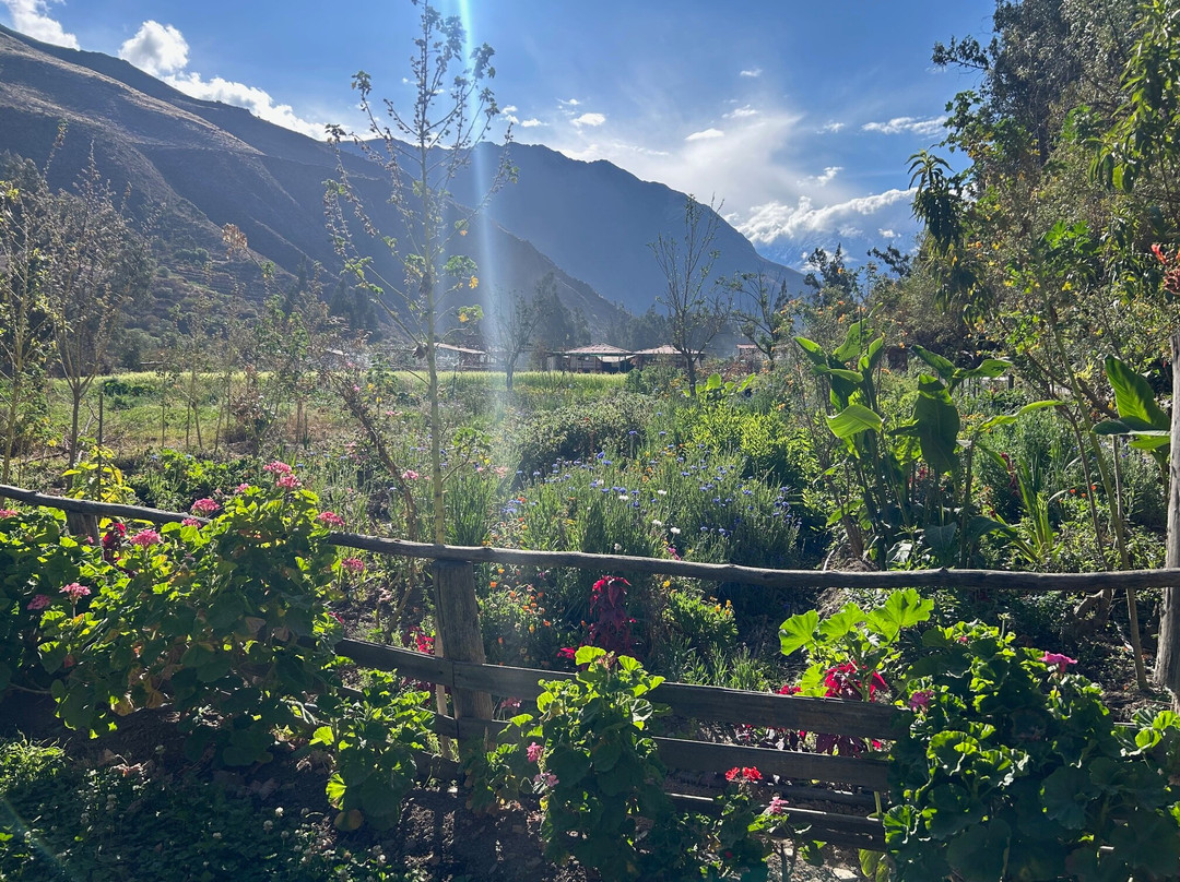 El Albergue Ollantaytambo主图