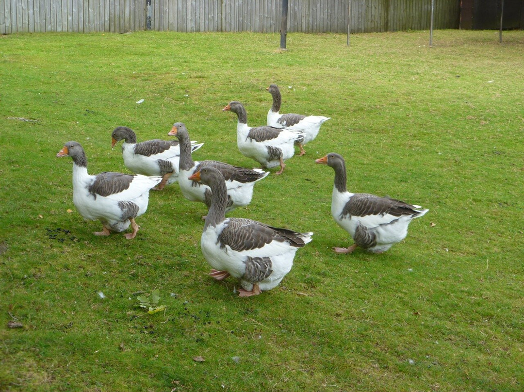 瑞典城堡森林公园-哥德堡必去景点