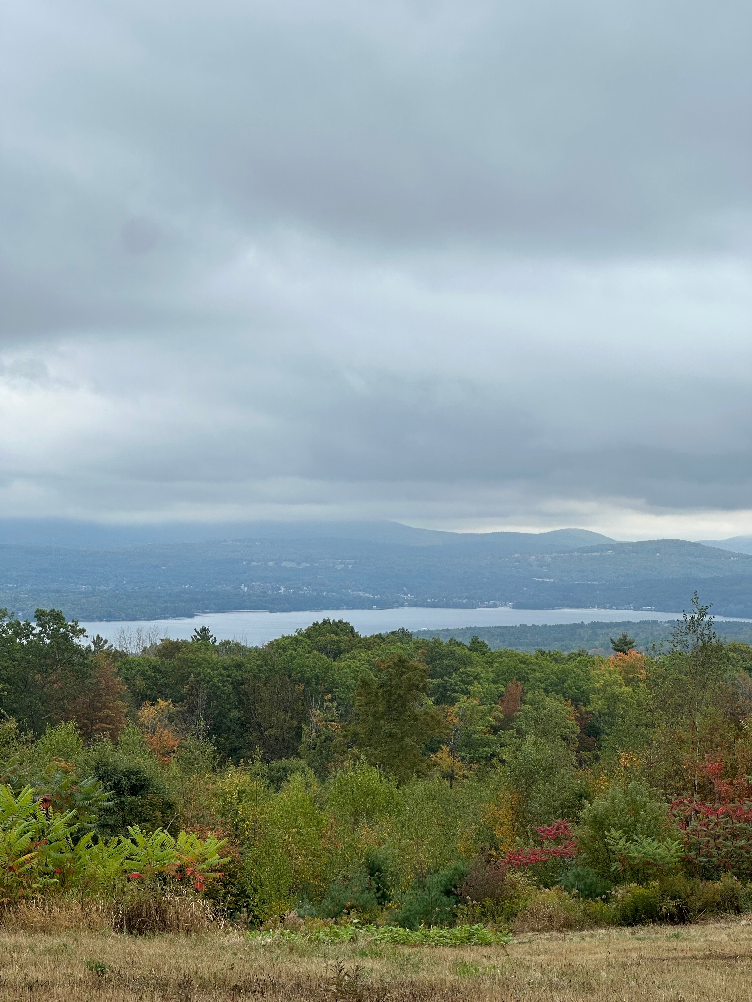 Steele Hill Resorts-官方