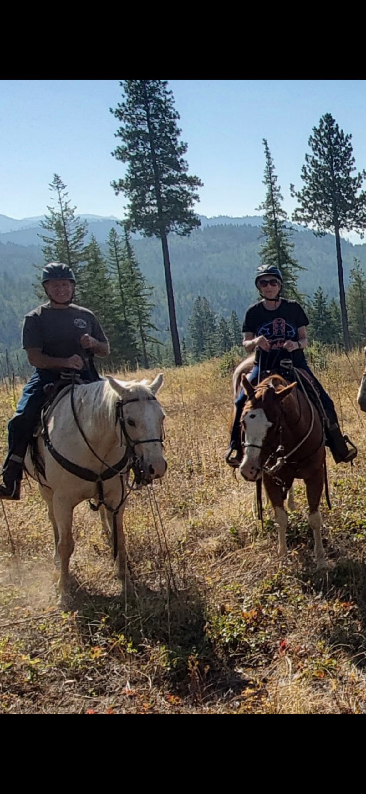 Western Pleasure Guest Ranch-官方