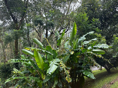 Urvinkaan - An Estate Hotel Chikmagalur主图