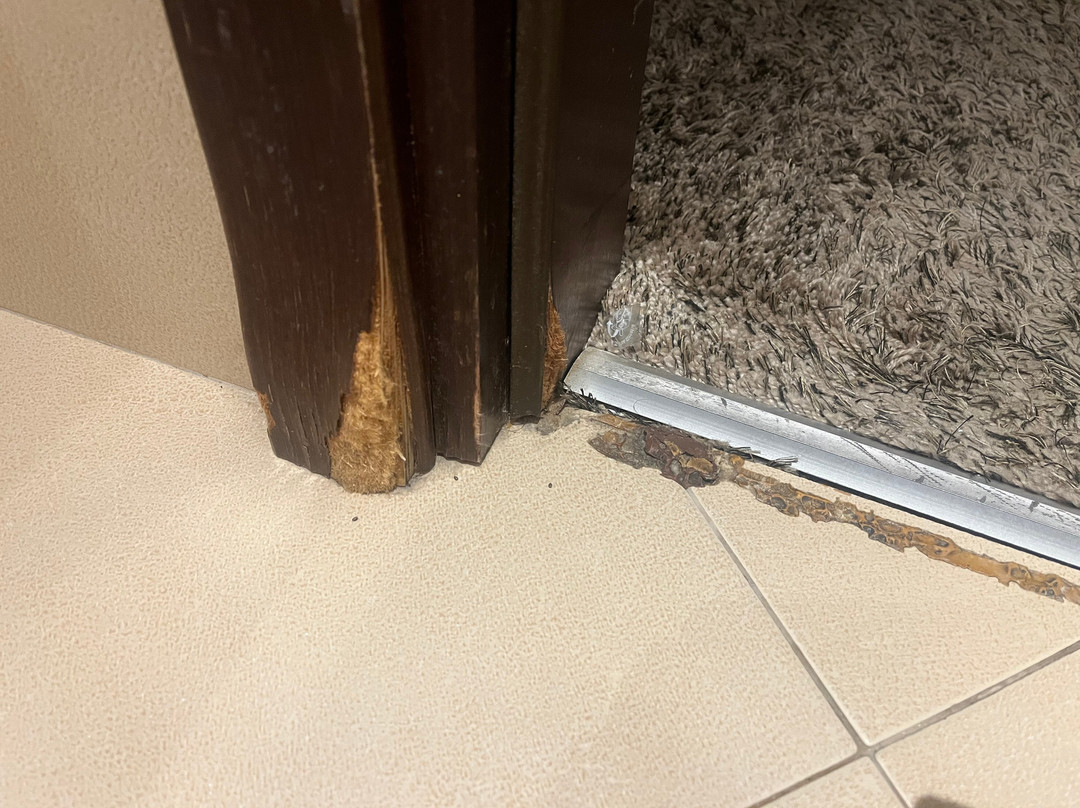 肯克乐德酒店主图