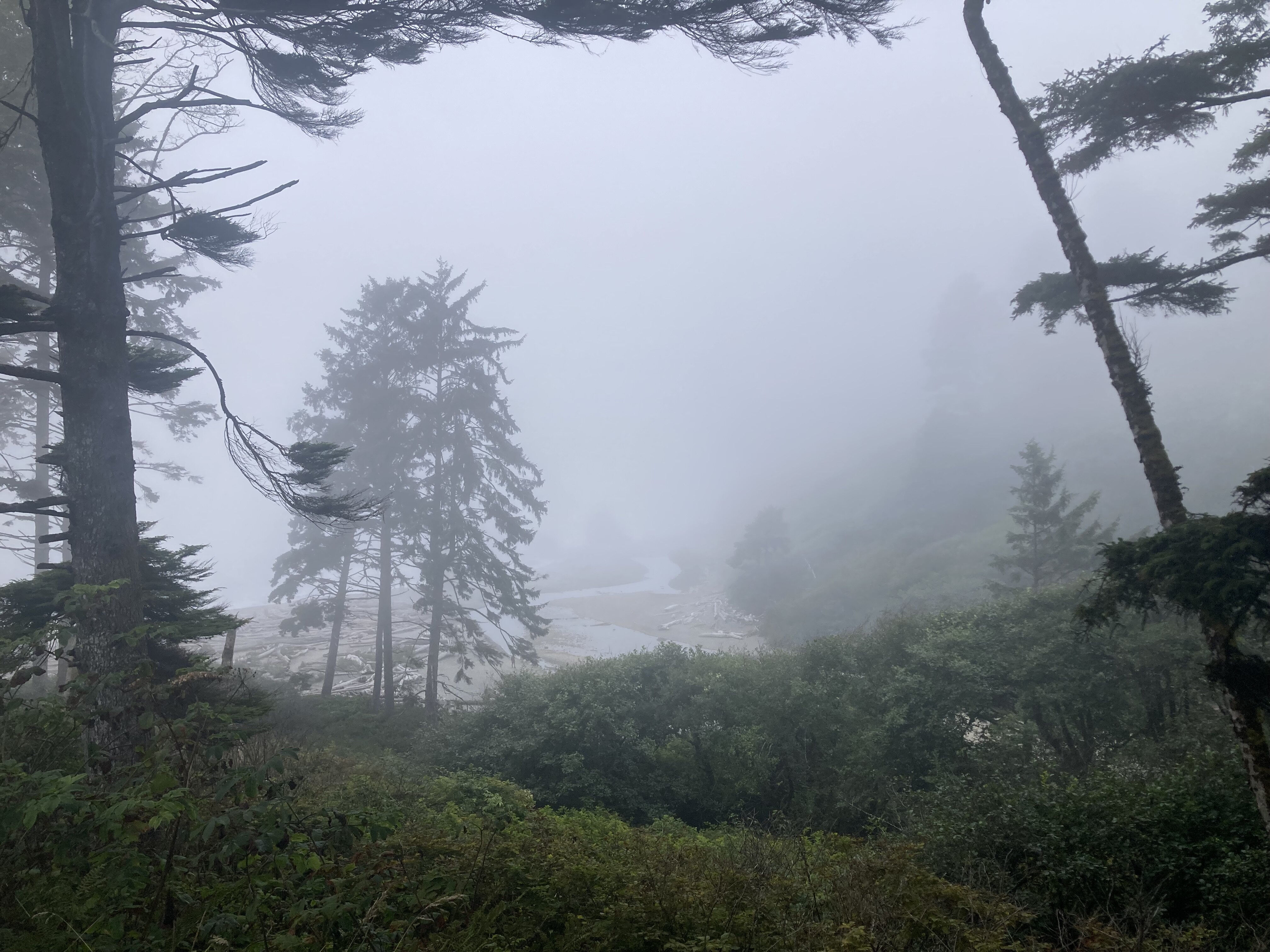 The Dew Drop Inn Motel-官方