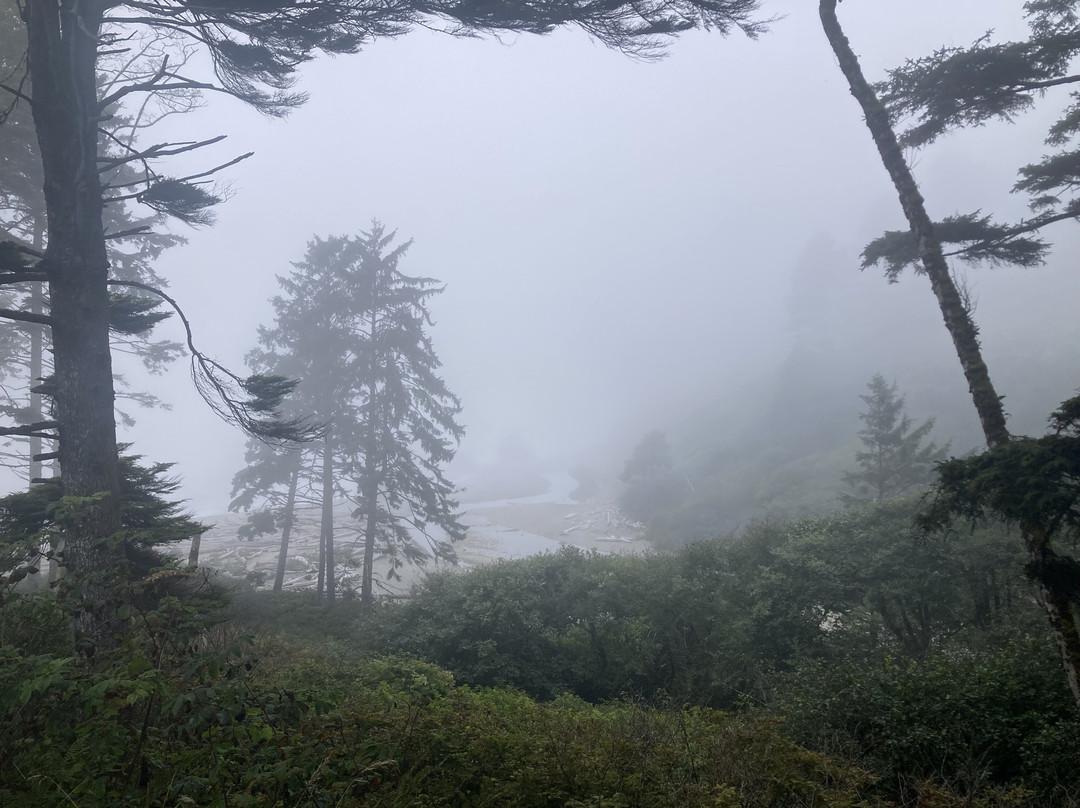 The Dew Drop Inn Motel主图