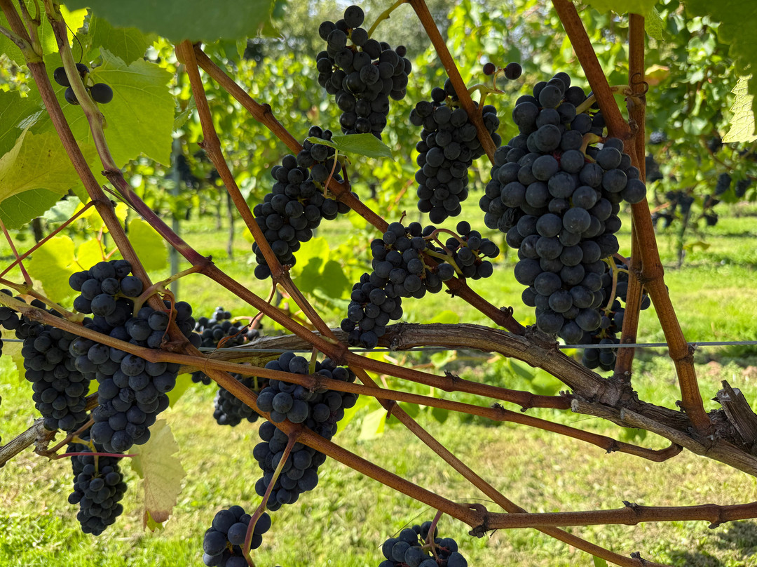 Aldwick Estate-Redhill必去景点