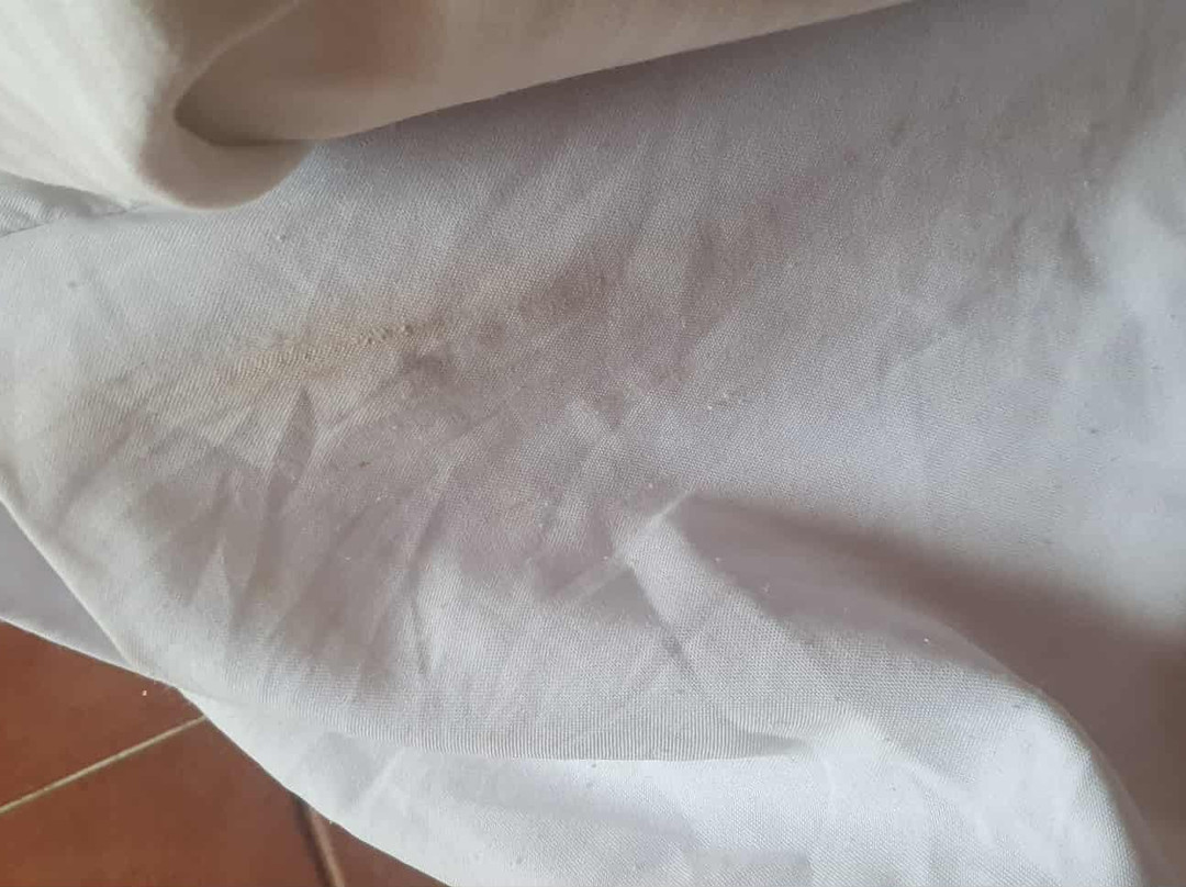 路图雅瑞酒店 - 全包式主图