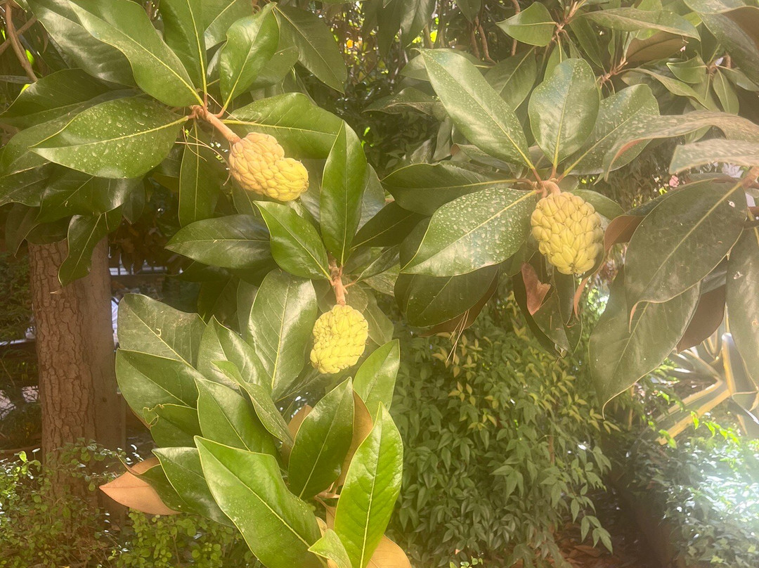 Jardin Botanico de la Universidad de Granada-格拉纳达必去景点