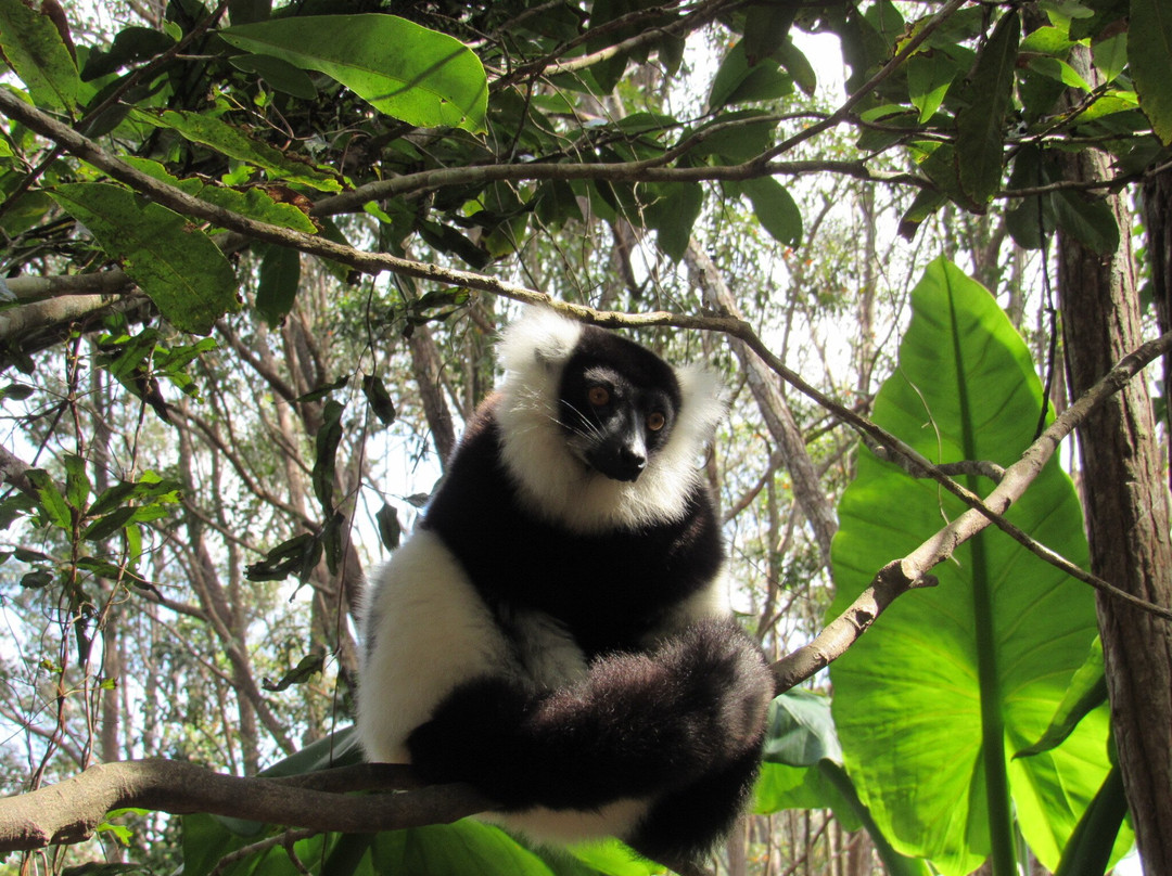 Ramartour Madagascar s.a.r.l.-Ambohidratrimo必去景点