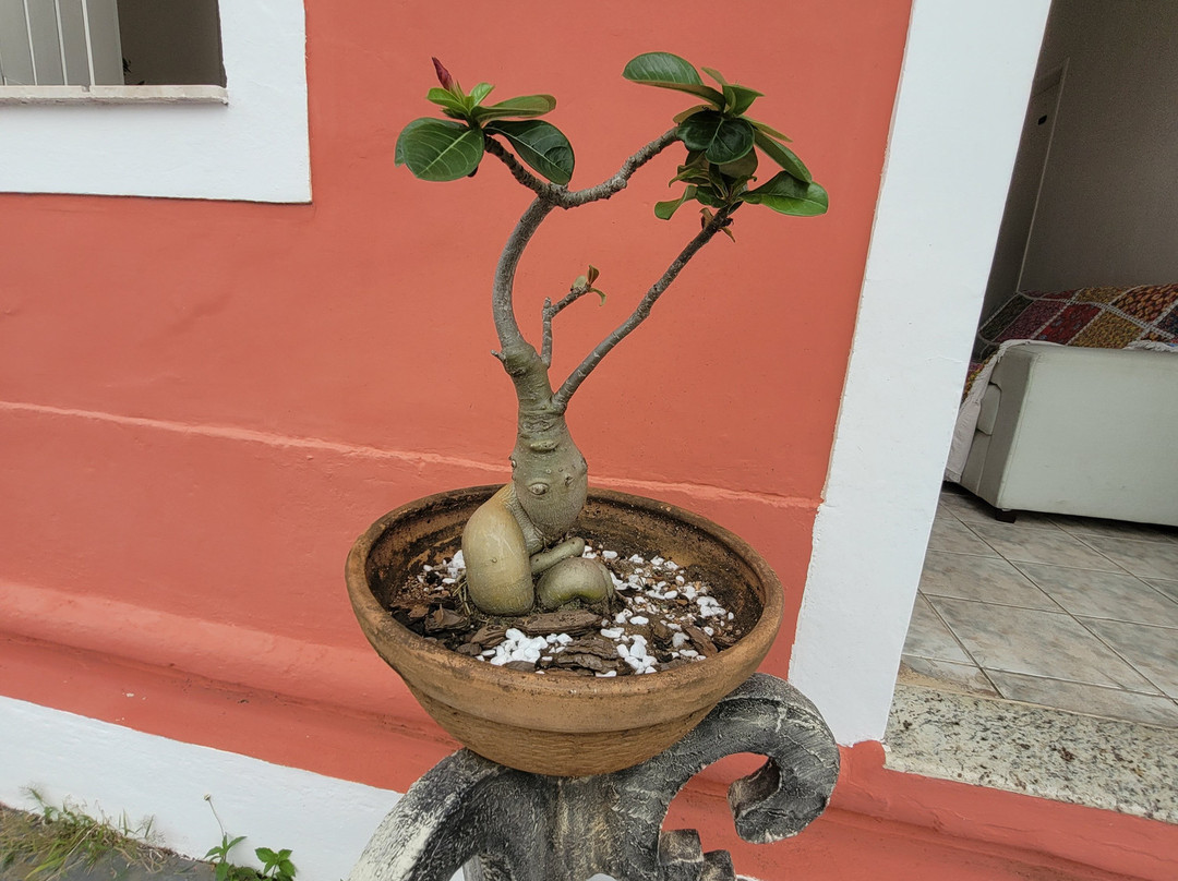 Pousada Maria Bonita主图