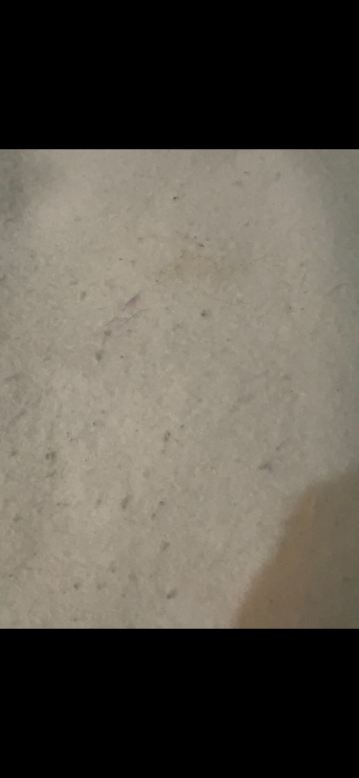 罗马假日度假酒店-客卧