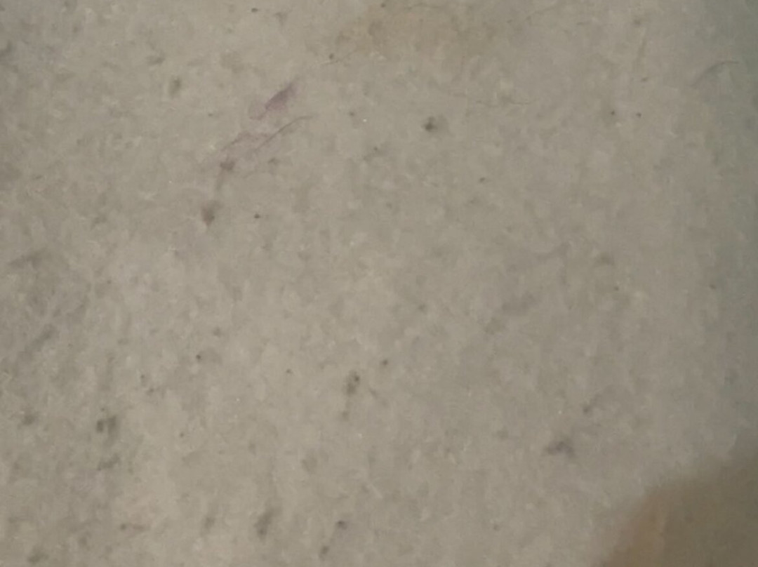 罗马假日度假酒店主图