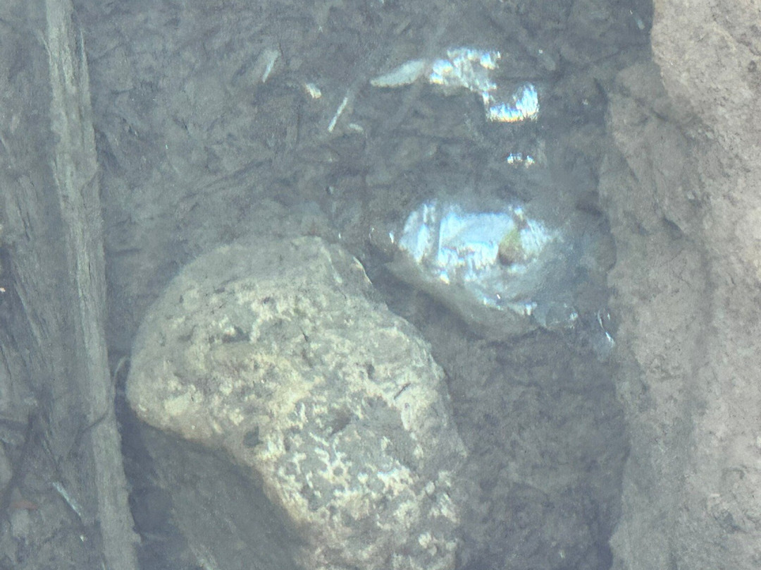 Sinkholes of Argostoli-阿尔戈斯托利翁必去景点