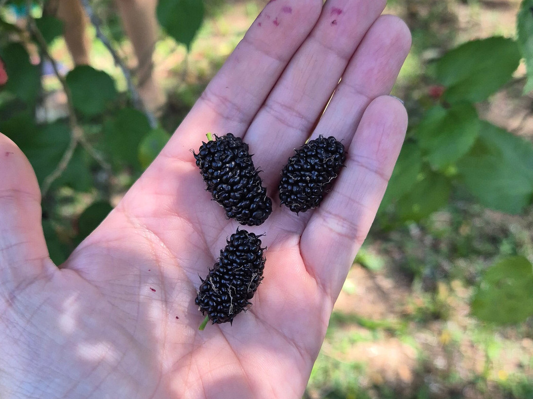 Refúgio do Saci Hotel e Eventos主图