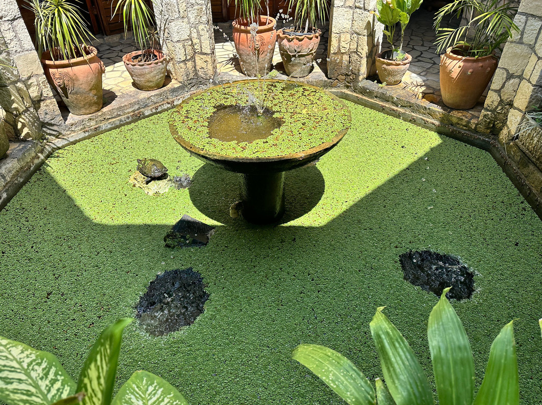 Rockhouse Spa-内格里尔必去景点