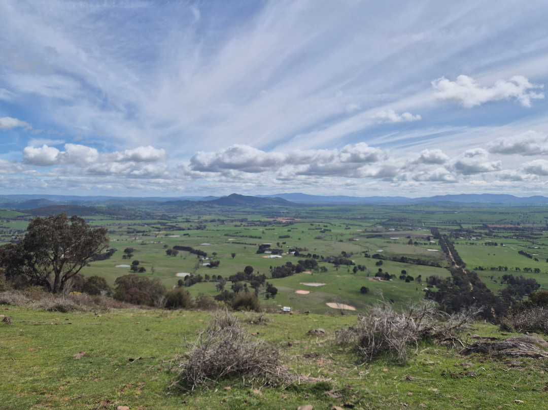 Watson's Mountain Country Trail Rides - Day Tours-曼斯菲尔德必去景点