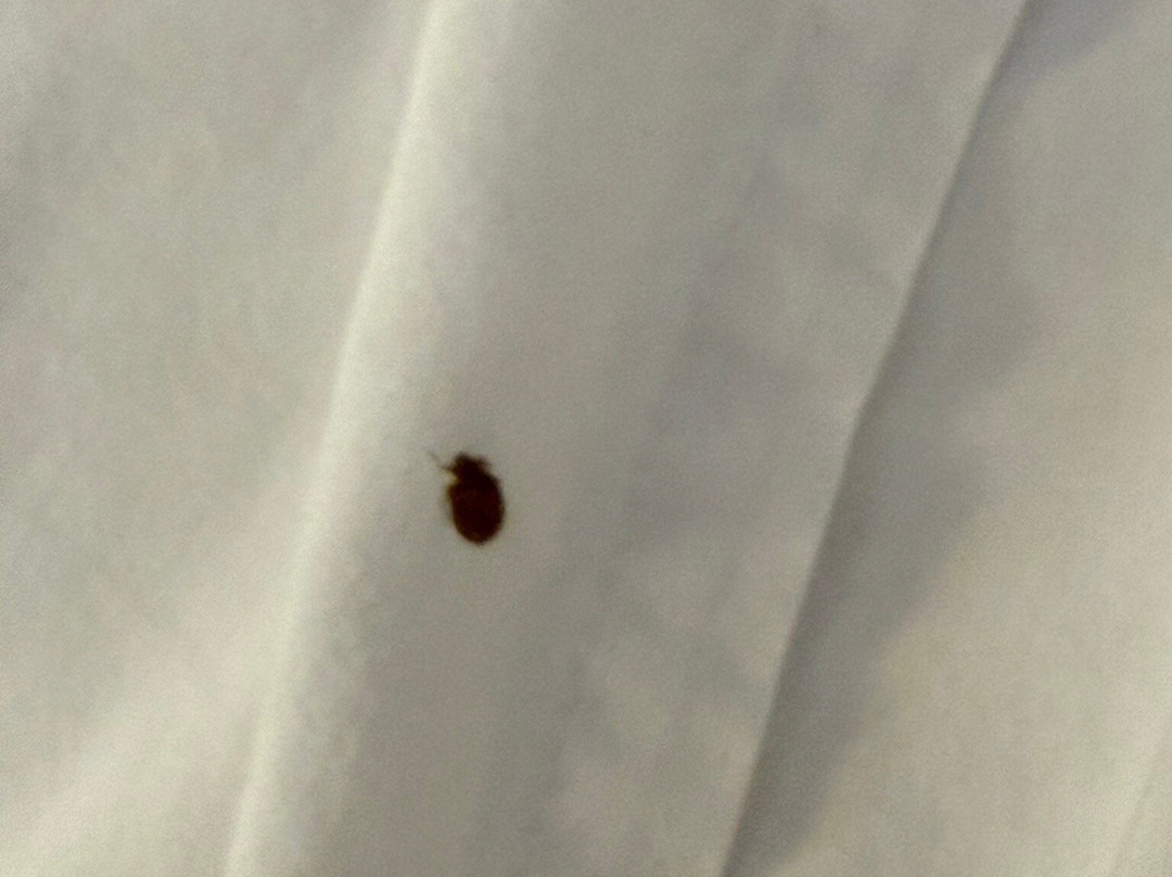 费尔霍普汉普顿酒店主图