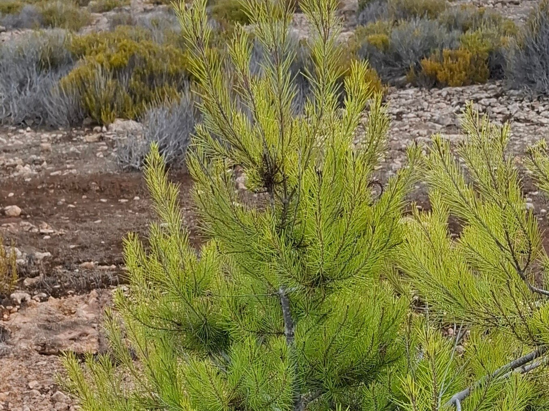 National Park Cap de Barbaria