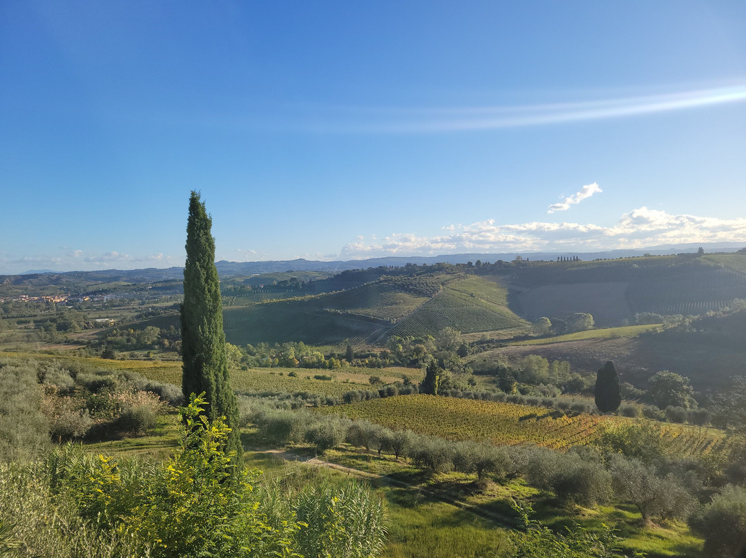 Poderi Arcangelo Winery-圣吉米尼亚诺必去景点