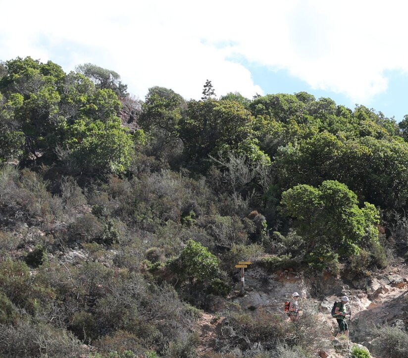 Sentier du Facteur-Girolata必去景点