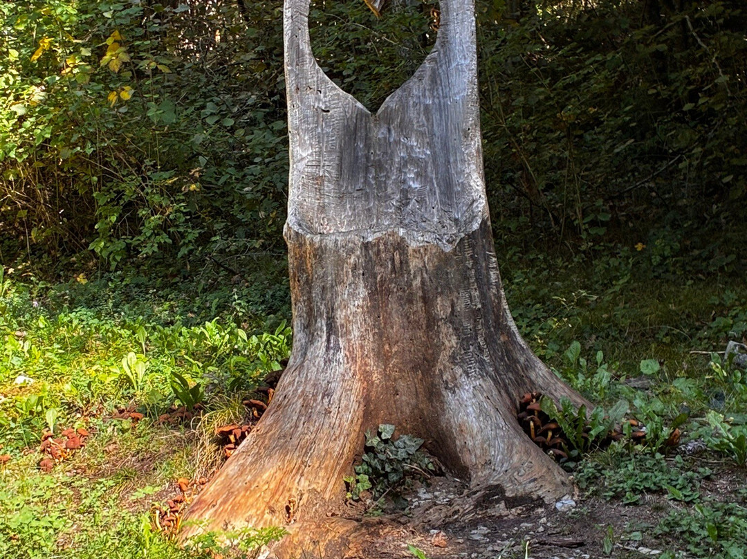 BoscoArteStenico Museo d'Arte nella Natura-Stenico必去景点