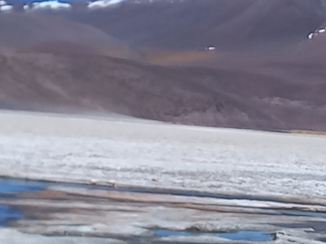 Balcòn del Pissis-Tinogasta必去景点