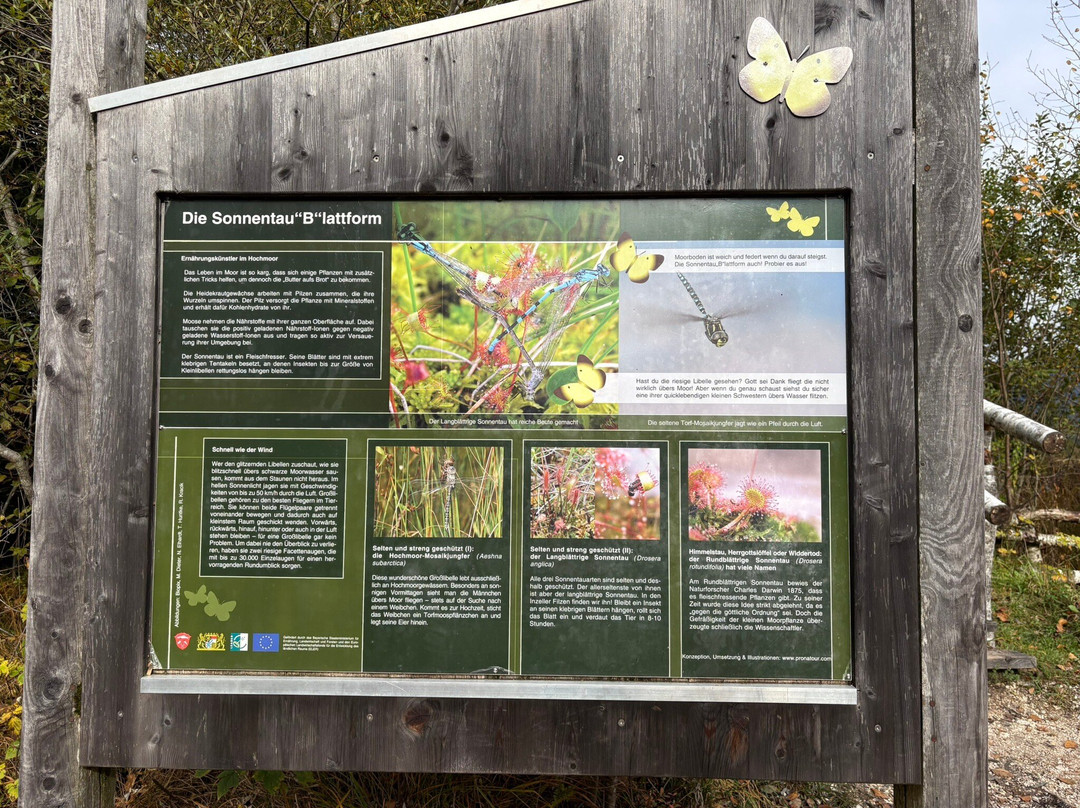 Moor-Erlebnis-Pfad-Inzell必去景点