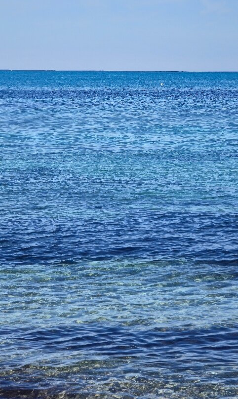Spiaggia dell'Isola dei Gabbiani (Isuledda)-帕劳必去景点