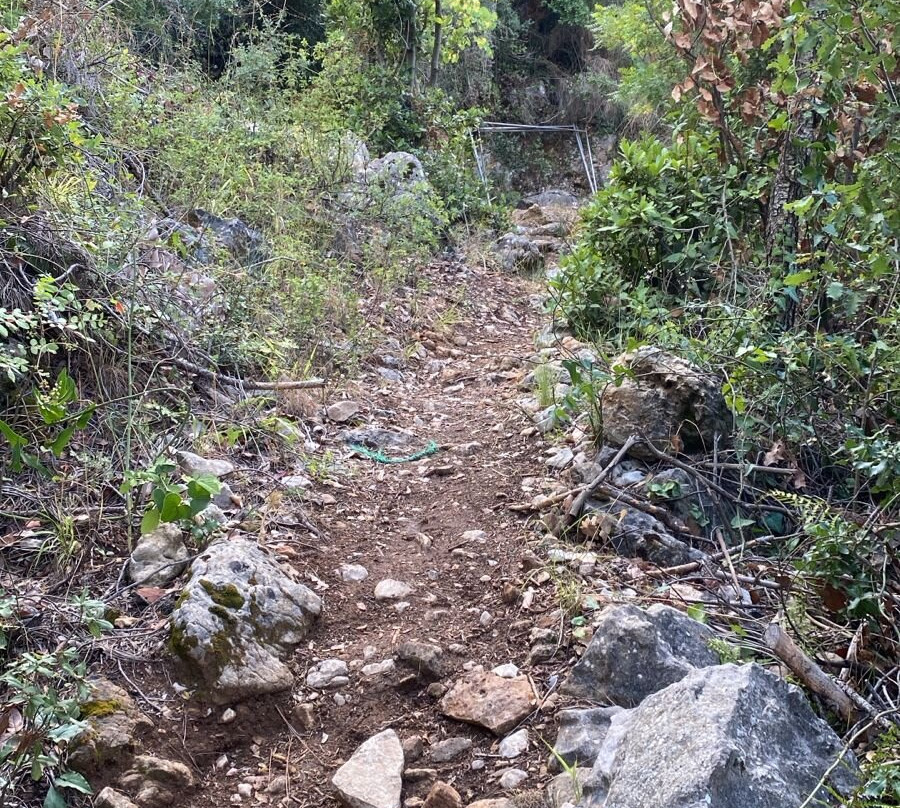 Jabal Moussa Biosphere Reserve-Keserwan District必去景点