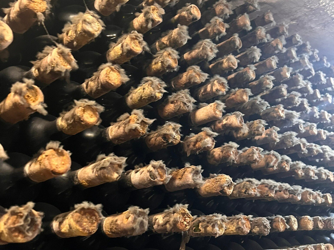 Cricova Winery-Cricova必去景点