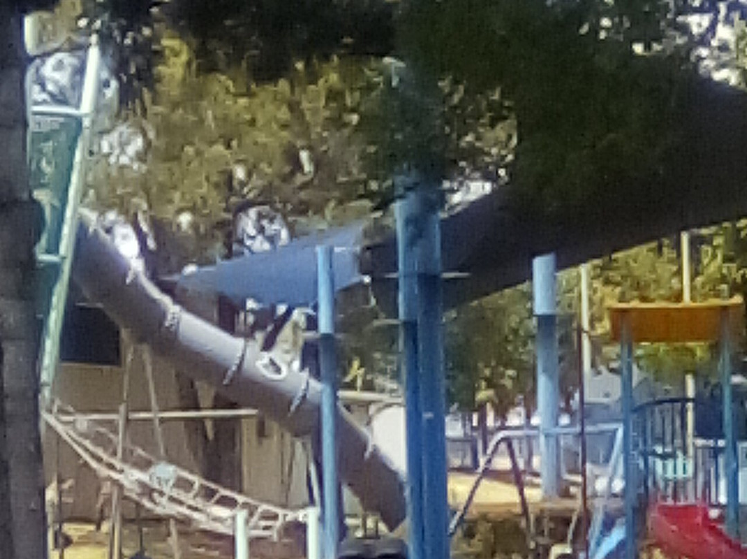 Jubilee Park-Beaudesert必去景点