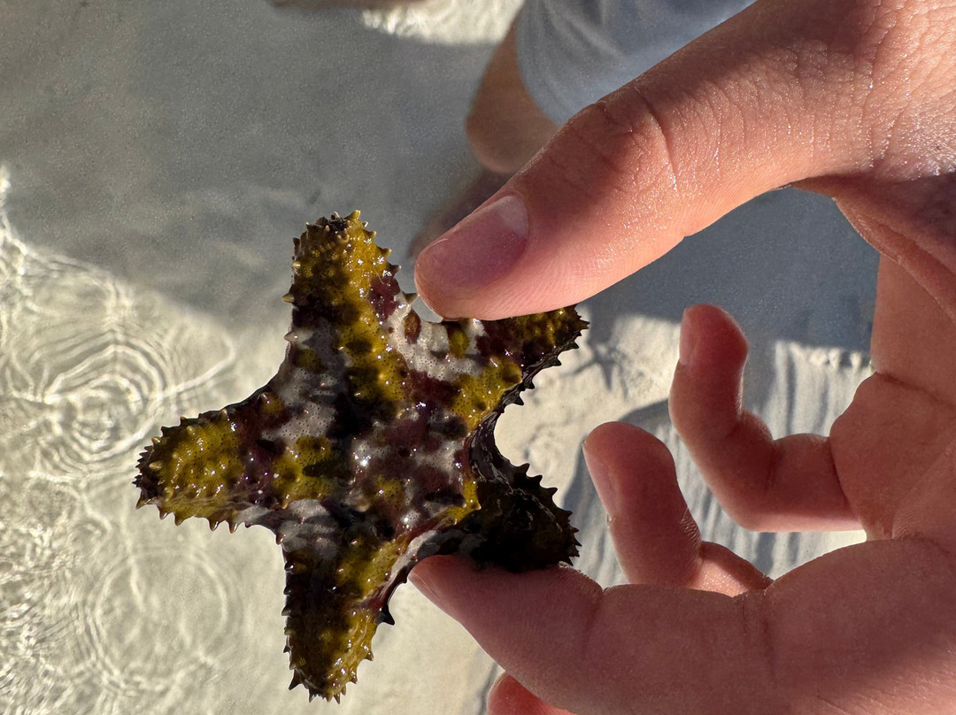 Lucayan National Park-大巴哈马岛必去景点