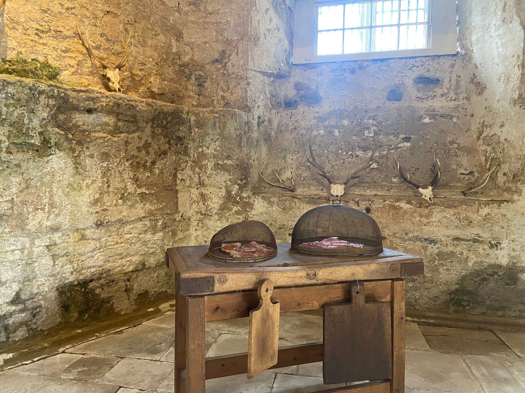 Lulworth Castle & Park-East Lulworth必去景点