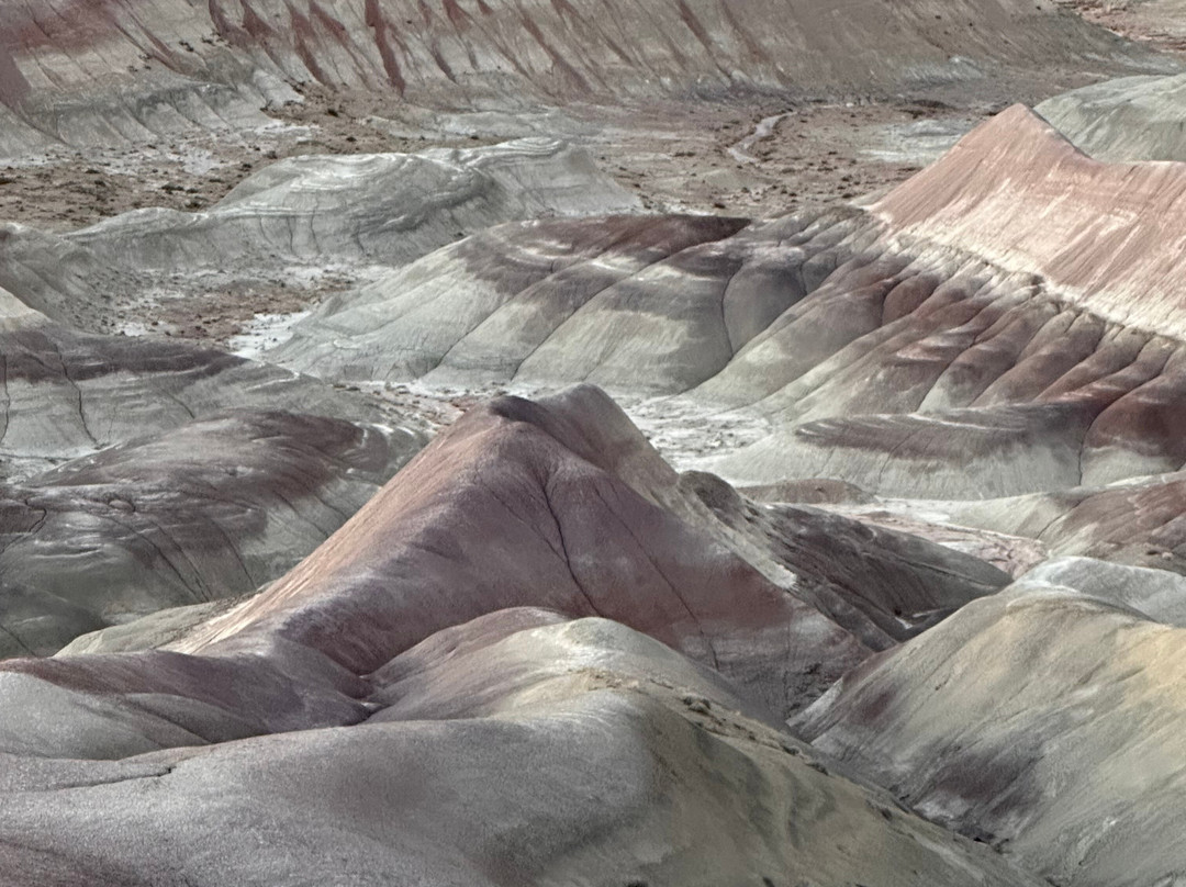 Little Painted Desert Scenic View-温斯洛必去景点