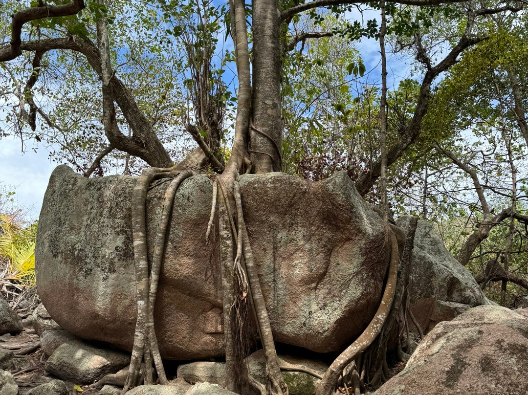 Ziblo Boat Charter-普拉兰岛必去景点
