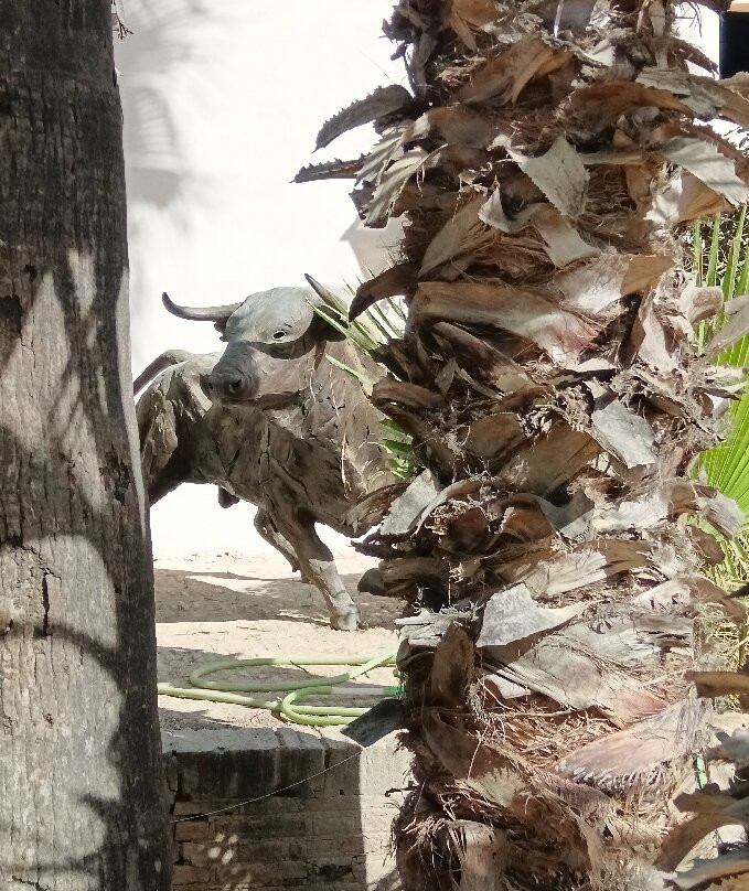 Bodegas Góngora-Villanueva del Ariscal必去景点