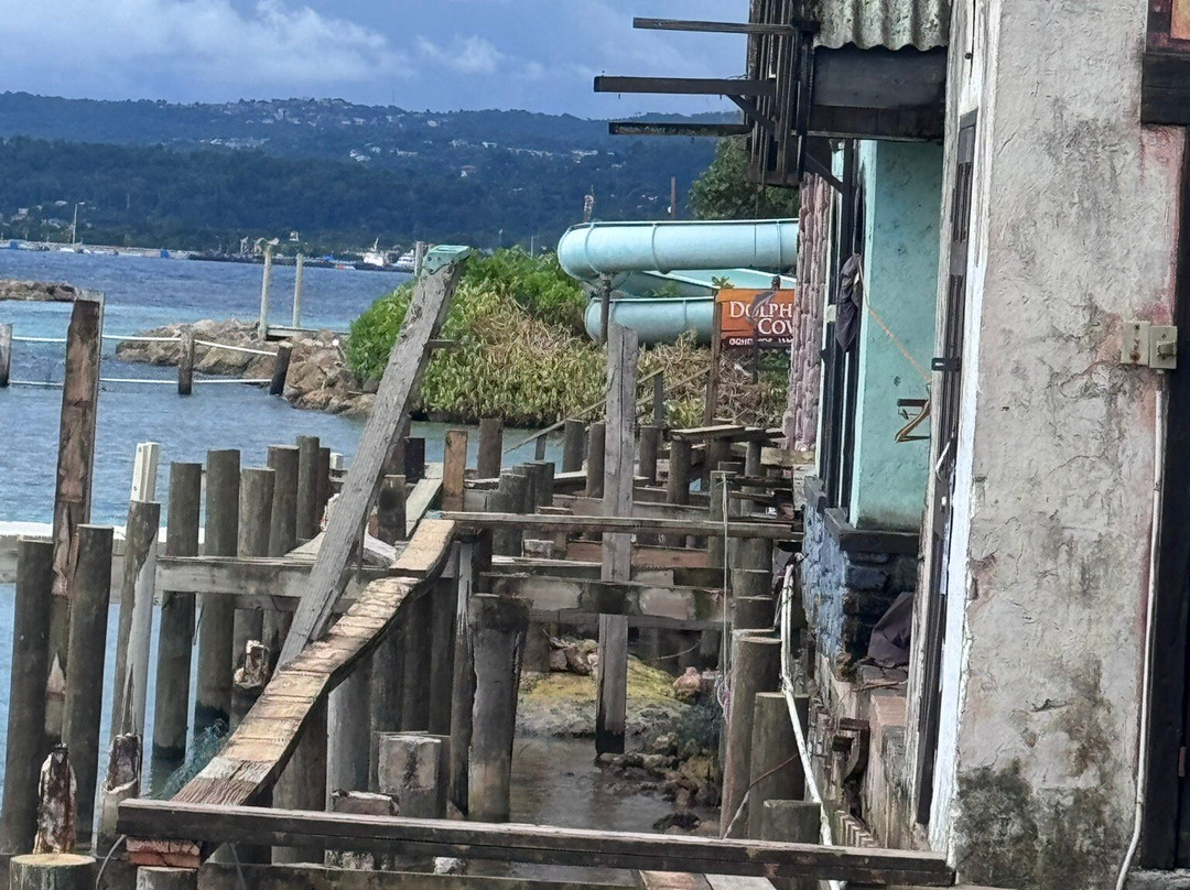 海豚湾-奥乔里奥斯必去景点