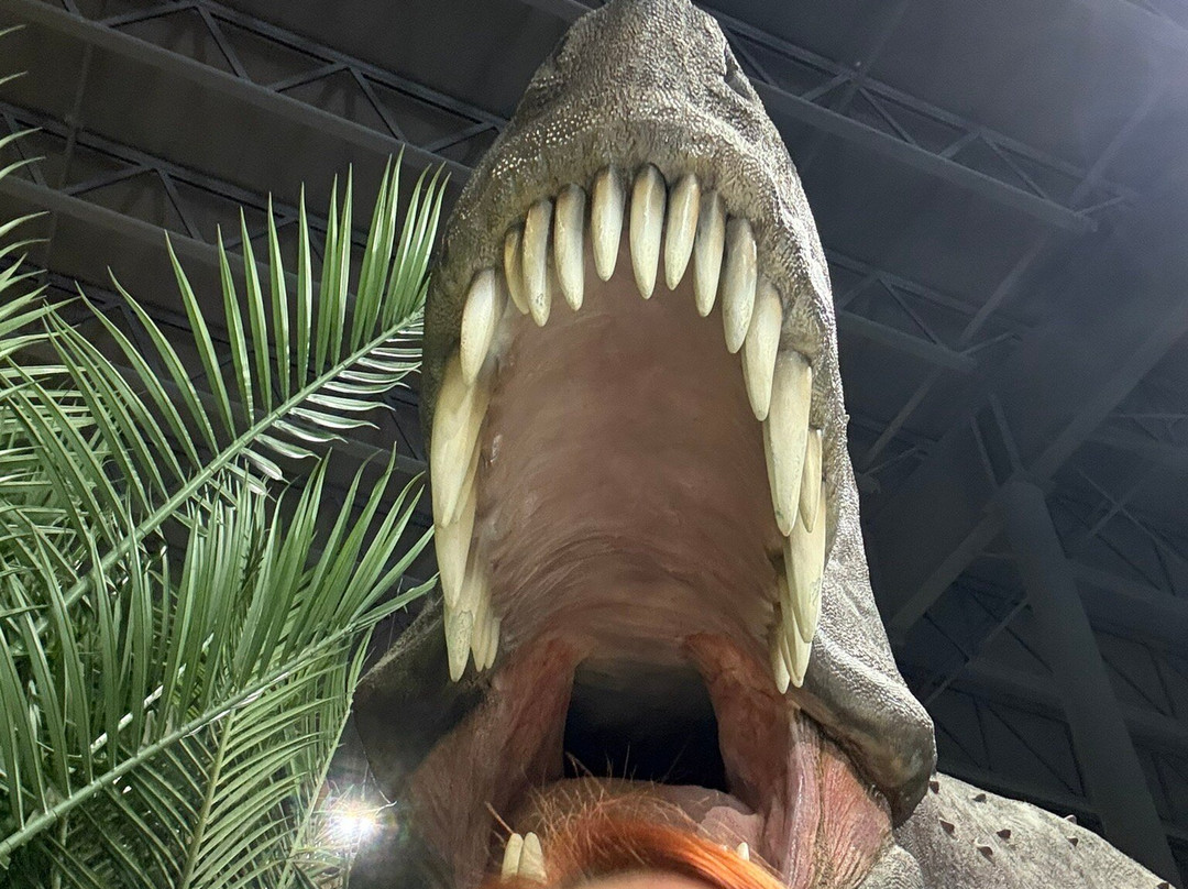 Indiana Dinosaur Museum-南本德必去景点