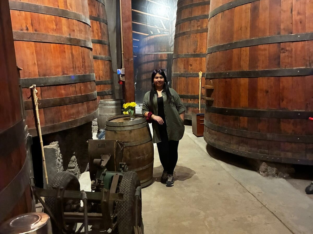 Viña Butron Budinich-兰卡瓜必去景点